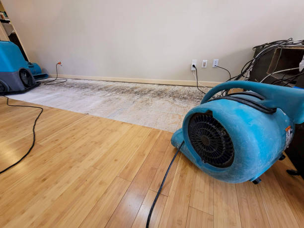 Professional Water Damage Repair technician working in Mulberry, OH